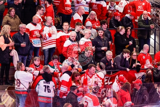 Fans Odense, Danmarks Ishockey Union