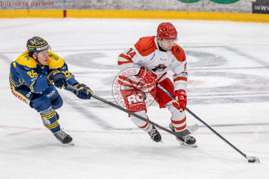 Hjalte Kruse Thomsen, Joonas Niemelä