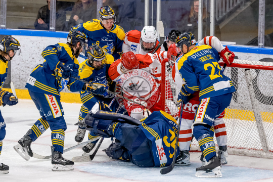 Jesper Bank Olesen, Mathias Hansen, Sebastian Strømstad, Lasse 
