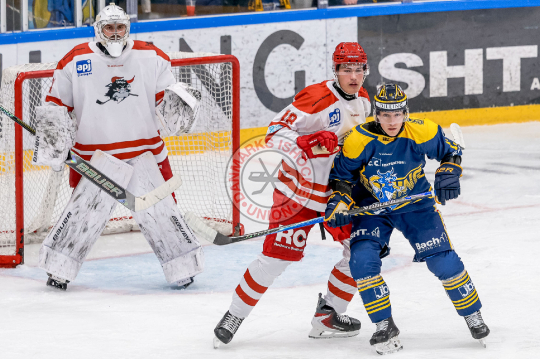 Marcus Bjørn, Noah Faber, Thomas Vilstrup Andersen