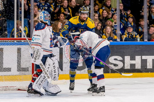 Mathias Bau Hansen, David Grubak