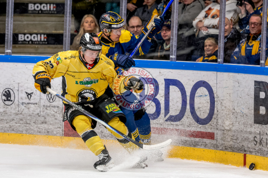 Mathias Ingemann Larsen, Oskars Cibulskis