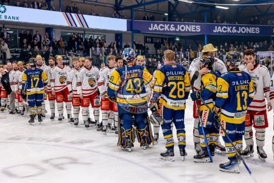 Odense Bulldogs, Herning Blue Fox