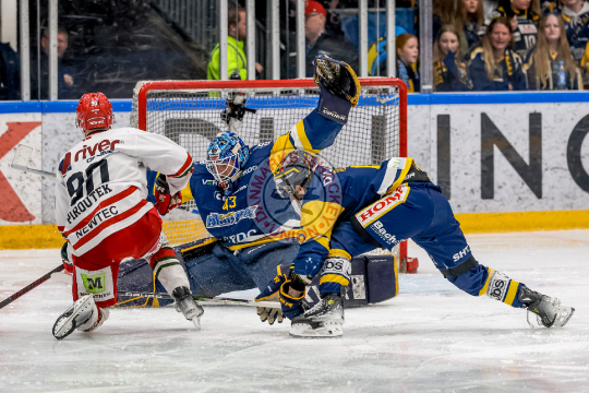 Seldrup, Mathias, Piroutek, Radim