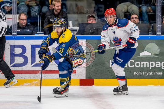 Steve Whitney, Patrick Bjorkstrand